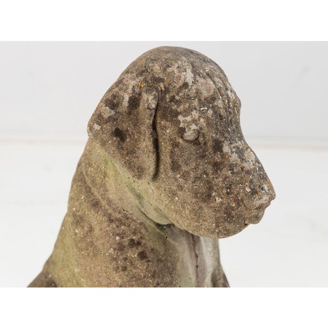 Pair of Composite Stone Boxer Dog Garden Statues, England 1960s For Sale - Image 13 of 14