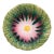 French Majolica Daisy Plate Orchies, Circa 1890 For Sale
