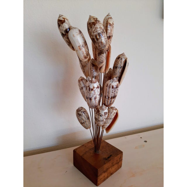 1980s Mid Century Brutalist Shell Seashell Sculpture For Sale - Image 5 of 5
