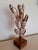 1980s Mid Century Brutalist Shell Seashell Sculpture For Sale - Image 5 of 5