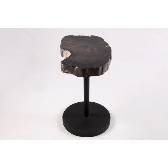 The top of this modern accent side table is made of one slice of organic petrified wood, hand polished to show its...