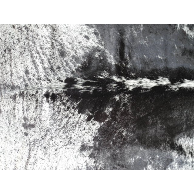 Early 21st Century Salt and Pepper Leather Cowhide With Black and White Spots From Brazil For Sale - Image 5 of 6