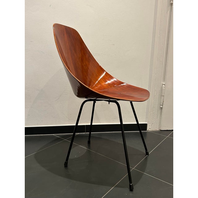 Chair from Vittorio Nobili, Italy, 1955 For Sale - Image 10 of 14