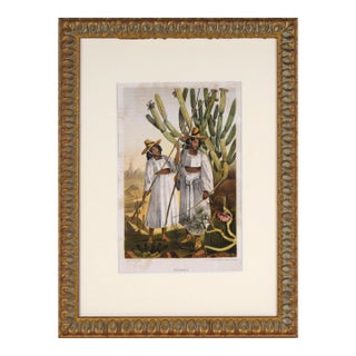 Antique Lithograph of Indigenous Papagos Women With Cactus Arizona/Mexico 1857 For Sale