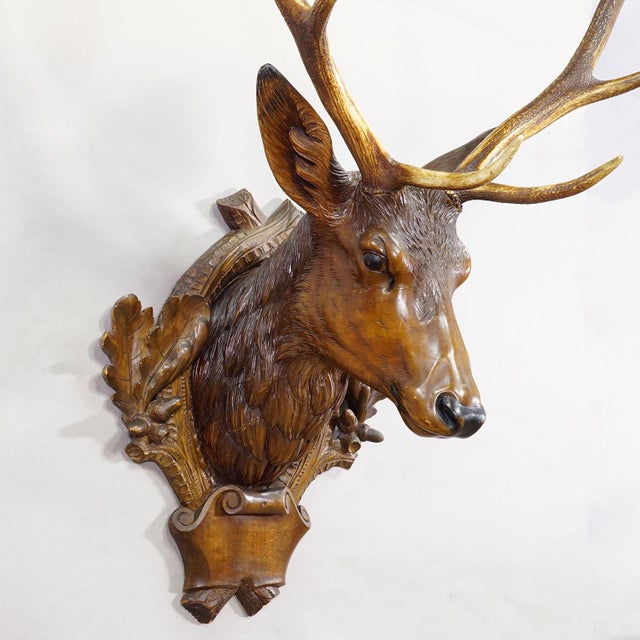 1920s Large Naturalistic Black Forest Carved Stag Head, Ca. 1920s For Sale - Image 5 of 11