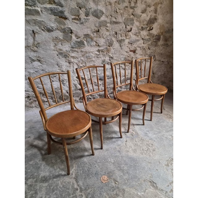 Vintage Bentwood Bistro Chairs from Fischel, Czechoslovakia, 1940s, Set of 4 For Sale - Image 18 of 18