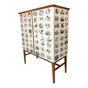 1950's Swedish Cabinet With Bird Illustrations by Édouard Traviés