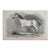 1870 Arabian Horse Selim Engraving For Sale