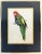 Metal 1960s Parrot Watercolor in Brass Frame For Sale - Image 7 of 7