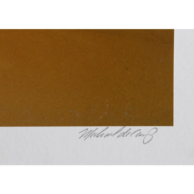 The Alchemist Michael DeCamp Year: circa 1975 Size: 20 in. x 27 in. Photograph, signed 50