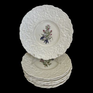 1940s Royal Cauldron Bristol Ironstone “Cardinal Flower” 9.5” Appetizer Plates ~ Set of 8 ~ England For Sale