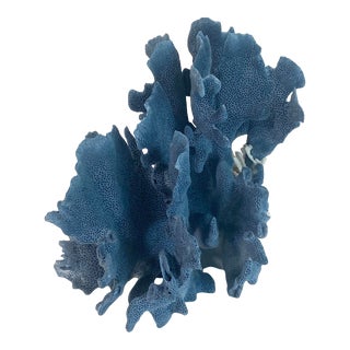 Natural Blue Coral Specimen Coastal Decor For Sale