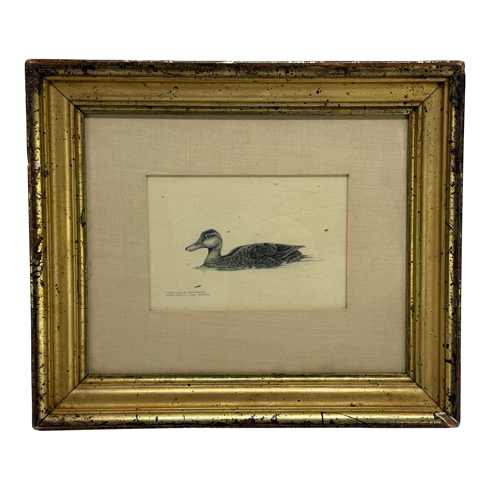 Kathleen Jessica O’Leary Pencil Drawing of Black Duck, 1980 | Chairish