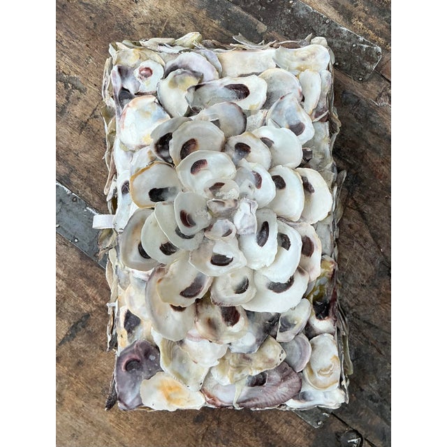 Vintage Oyster Shell Encrusted Box For Sale - Image 11 of 12