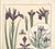 This is a RARE BEAUTY! It is one of 3 recent purchases of antique French Art Nouveau lithographs from a botanical...