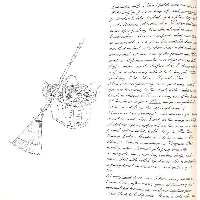 Paper "First Garden" 1987 Guest, c.z. For Sale - Image 7 of 12