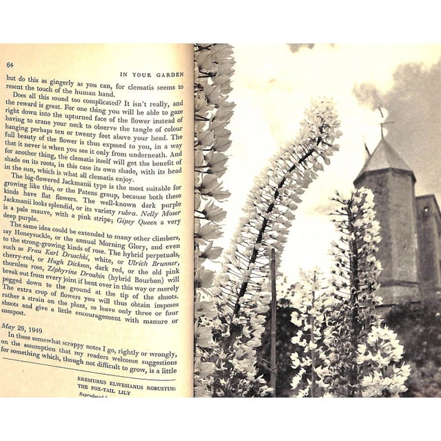 "In Your Garden" 1952 Sackville-West, Vita For Sale In New York - Image 6 of 11