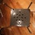MCM Royalchrome Armchairs For Sale - Image 10 of 12