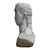Grand Tour Marble Roman Emperor Augustus Bust C1850 For Sale - Image 11 of 11
