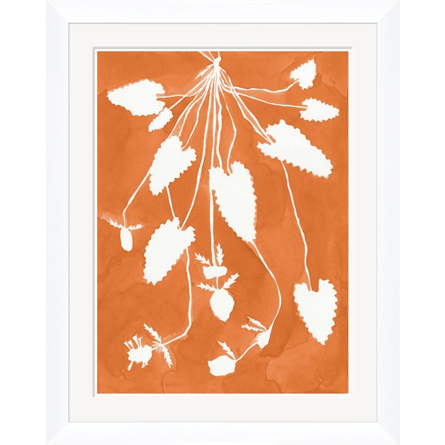 Susan Hable is a renowned artist and designer based in Athens, Georgia, known for her bold and colorful works. Co-founder...