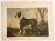 Paper 1948 Book Plate Print of a Bull Terrier Dog For Sale - Image 7 of 7