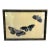 Japanese Butterfly Woodblock Print in Black Wood Bamboo Frame For Sale