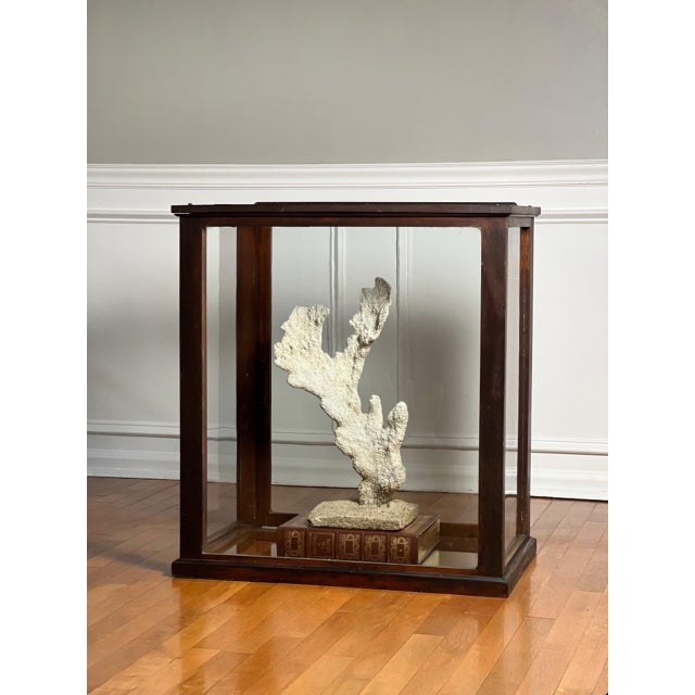 Antique English Six-Pane Glass and Mahogany Display Showcase Vitrine, C. 1900 For Sale - Image 13 of 14