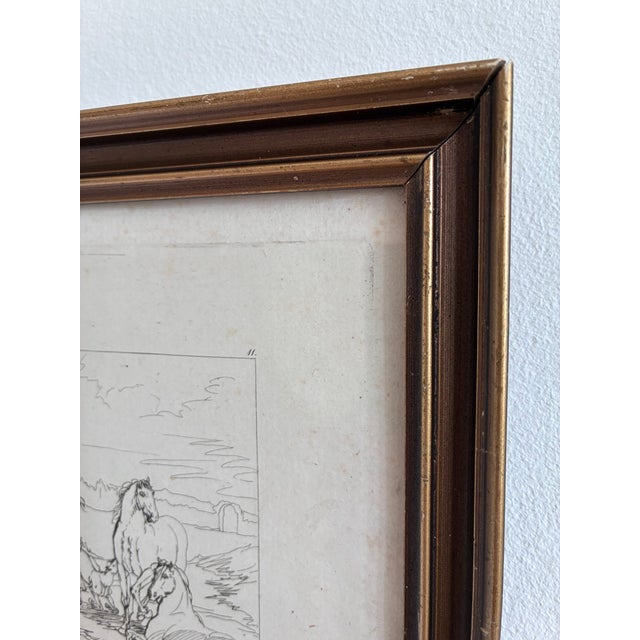 Antique Original Horse Etching, Circa 1700: Framed Equestrian Print For Sale - Image 6 of 10