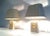 Beige Lamps with Gild Turtles Ornaments, circa 1970 - A Pair For Sale - Image 8 of 11