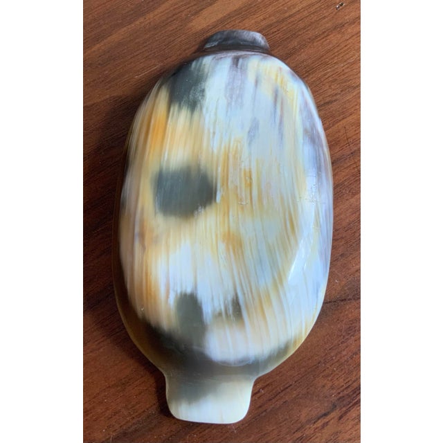 Late 20th Century Vintage Hand Carved Horn Caviar Serving Dishes - Set of 5 Pcs. For Coastal, Natural, British Colonial & Palm Beach Regency Entertaining. See Pics! For Sale - Image 5 of 9