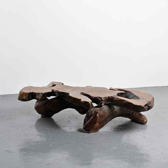 Wood Brutalist Elm Burl Coffee Table, 1960 For Sale - Image 7 of 15