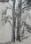 Otto Vautier, Tree, Graphite on Paper For Sale - Image 5 of 12