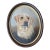 1980s Original R. F. Fullick Painting “Yellow Labrador” in Oval Wood and Gilt Frame For Sale