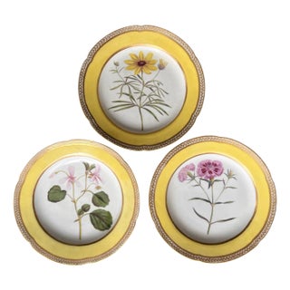 Porcelain Plates with Hand-Painted Botanical Theme from Royal Crown Derby, 18th Century, Set of 3 For Sale
