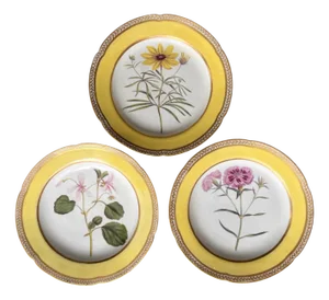 Porcelain Plates with Hand-Painted Botanical Theme from Royal Crown Derby, 18th Century, Set of 3