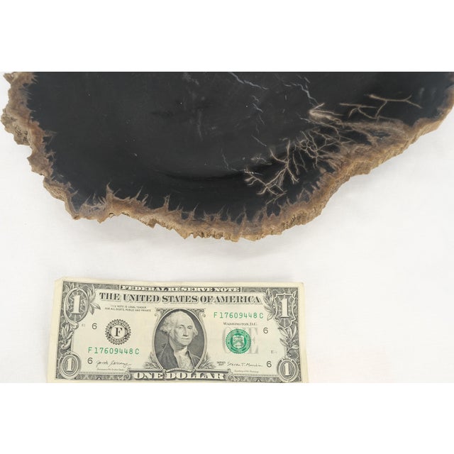 Petrified Wood Heart Shape Solid Black Elongated Bowl Dish Large Plate Ashtray For Sale - Image 6 of 8