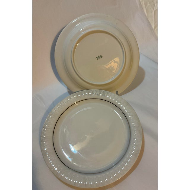 Platinum 1980s Rosenthal 18 European Dinner Plates- Lanzette Platinum For Sale - Image 8 of 8