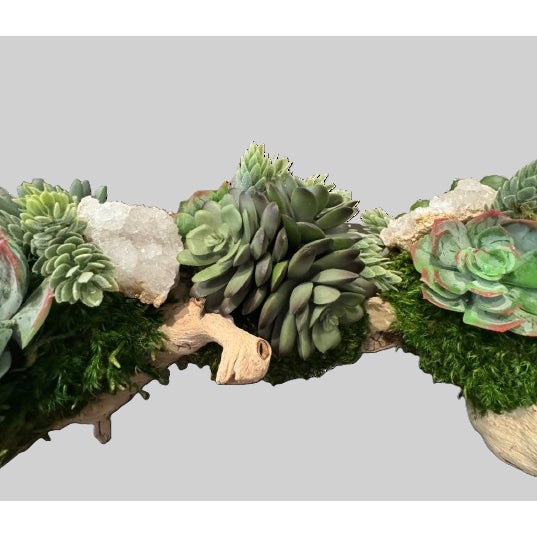 2020s Custom One-of-a-Kind Succulent & Geode Arrangement on Grapevine Branch 24" W X 7" D X 6" H For Sale - Image 5 of 9
