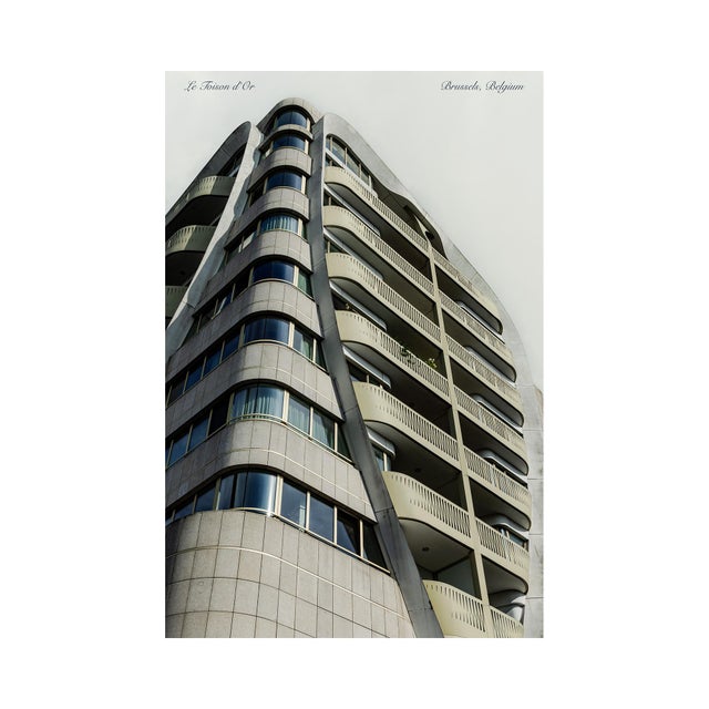 Guy Sargent, The Golden Fleece, Archival Pigment Print For Sale - Image 4 of 6