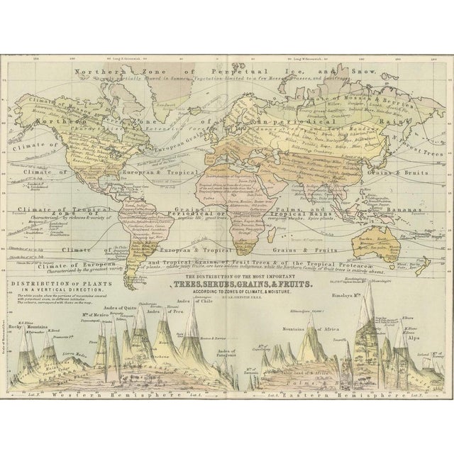 Botanical Map by A.K. Johnston, 1852 For Sale - Image 9 of 10
