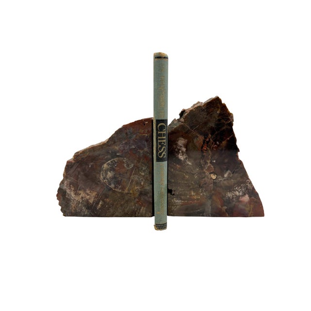 1950s Arizona Petrified Wood Bookends For Sale - Image 4 of 6