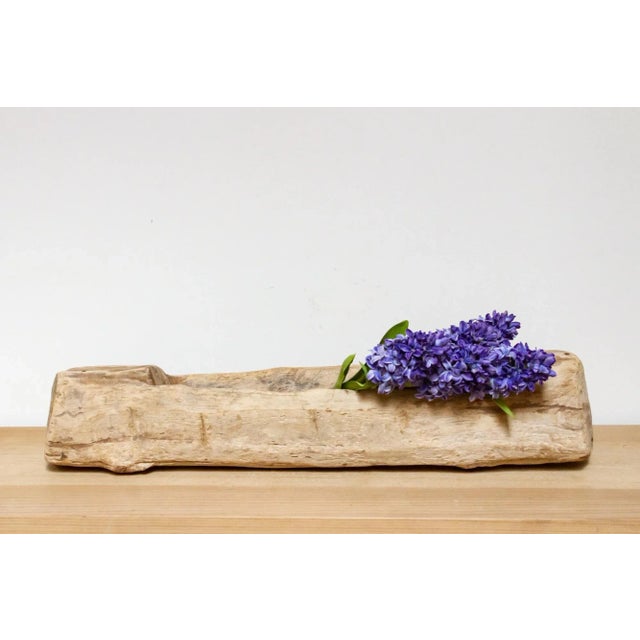 An old log trough rustic planter showing an aged bleached finish. This rustic planter features a hollow center, making it...
