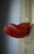 Vintage Sculptural Resin Shell Wall Sconce, 1970s For Sale - Image 17 of 18