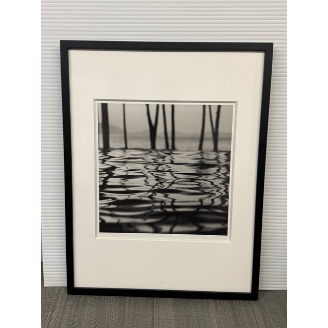 Michal Venera Twigs and Water Black & White Photograph, Framed For Sale - Image 12 of 12