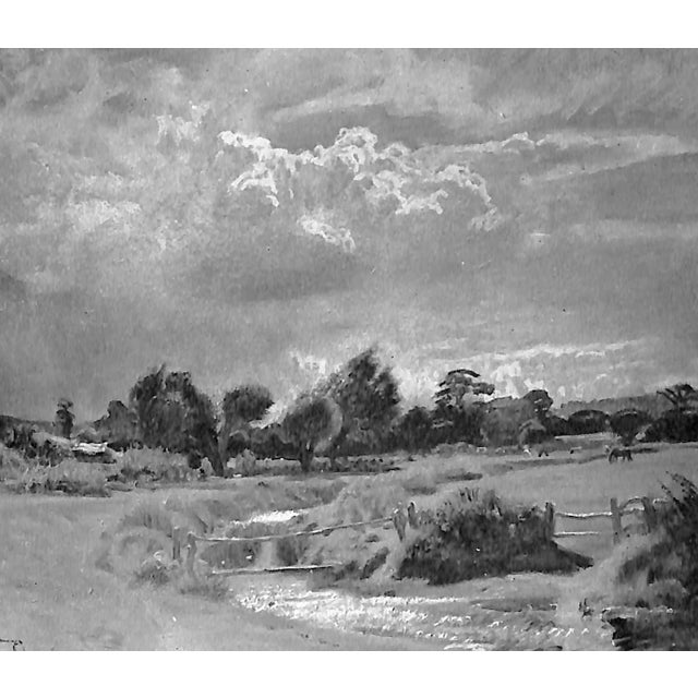 White "The Englishman a Biography of Sir Alfred Munnings" 1962 Pound, Reginald For Sale - Image 8 of 9