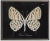 Brown & Cream Butterfly Plate LXII on Black Background in Black Beaded Frame - 32ʺ × 26ʺ For Sale