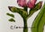 Giclee Print of Watercolor Ink and Wash Small Painting “Pink Iris” For Sale - Image 10 of 10
