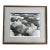 Vintage Robert (Bob) Werling Black and White Photograph Titled "Icebergs" Framed For Sale