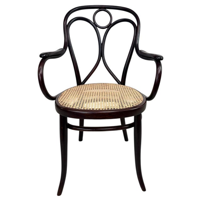 Nr.19 Angel Back Armchair in Bentwood attributed to Thonet, 1890s For Sale - Image 14 of 14