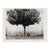 1980s “La Poule Et L’Arbre, Pau, France” – Édouard Boubat, 1950, Signed, Titled, Dated For Sale